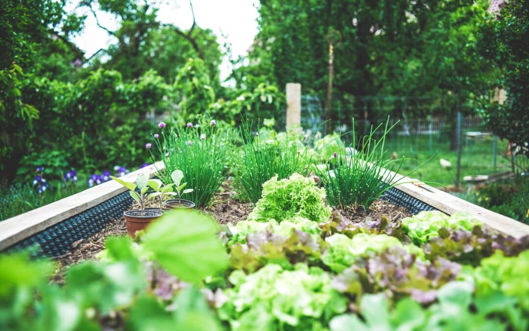 Créer un jardin zen en extérieur